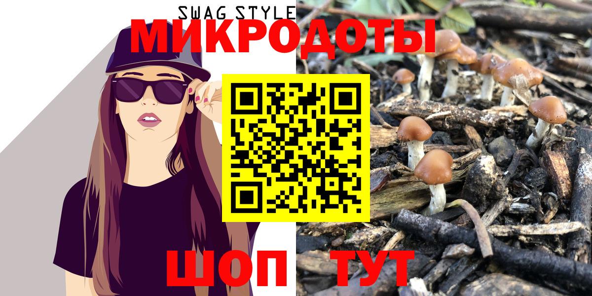 Псилоцибиновые грибы Psilocybine cubensis Переславль-Залесский