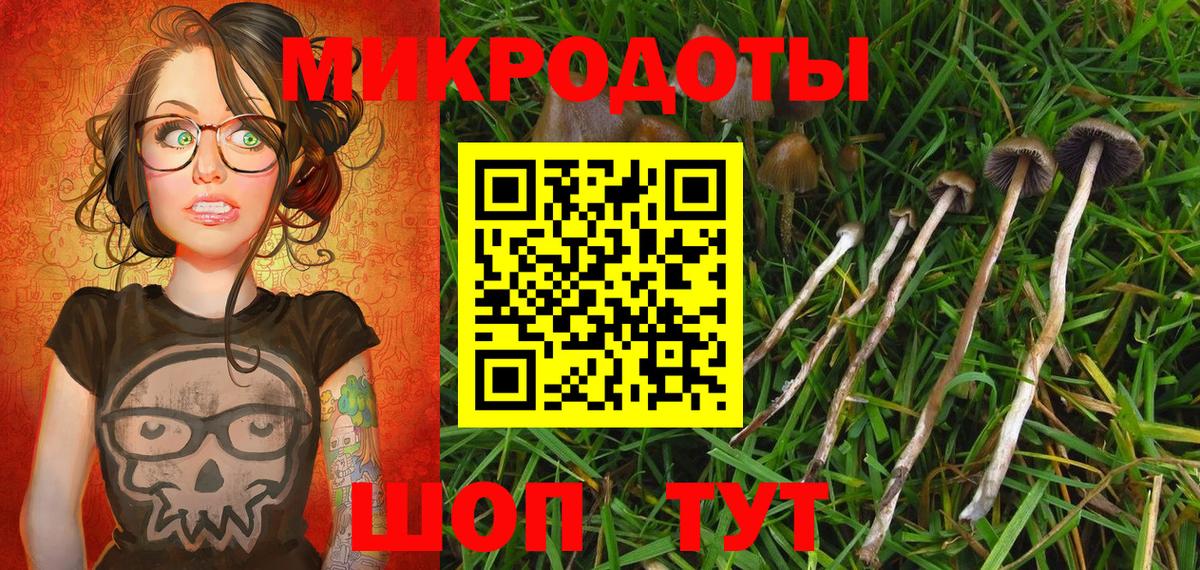 Галлюциногенные грибы прущие грибы  Вход с VPN  Переславль-Залесский 